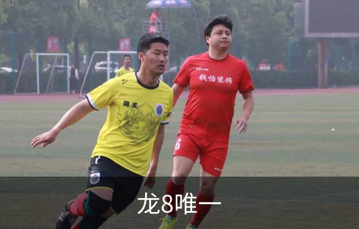 龙8唯一品牌故事